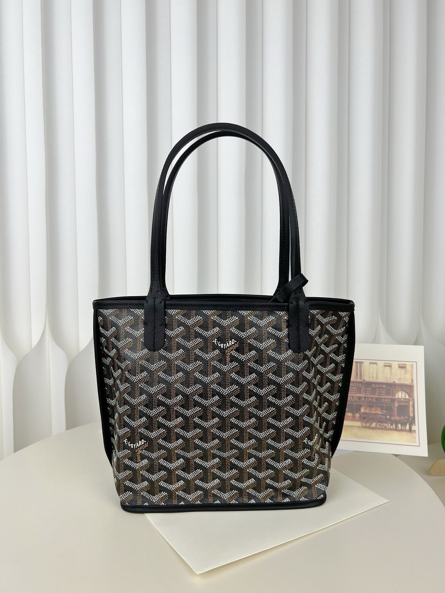 고야드 미니 앙주