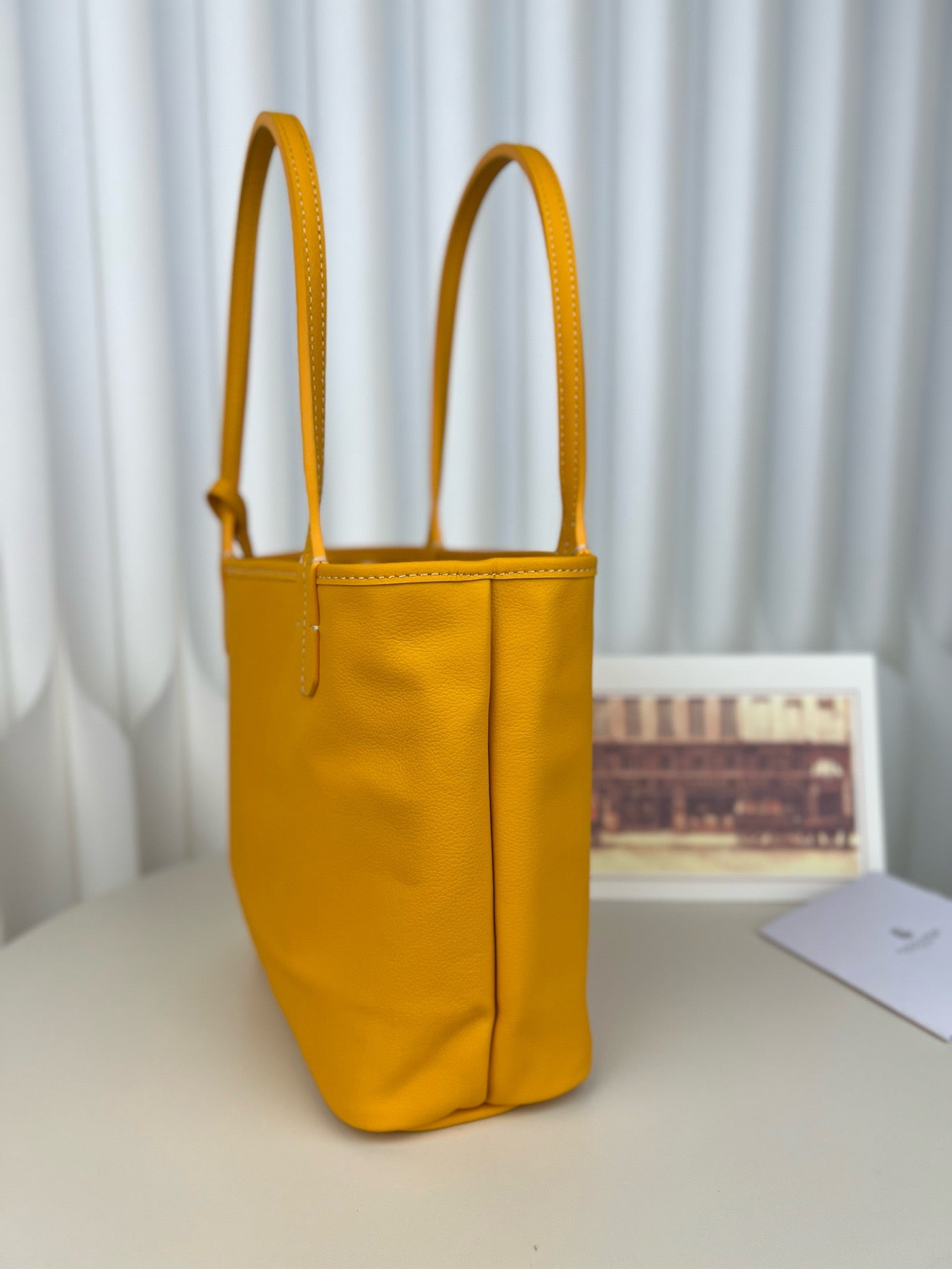 고야드 미니 앙주