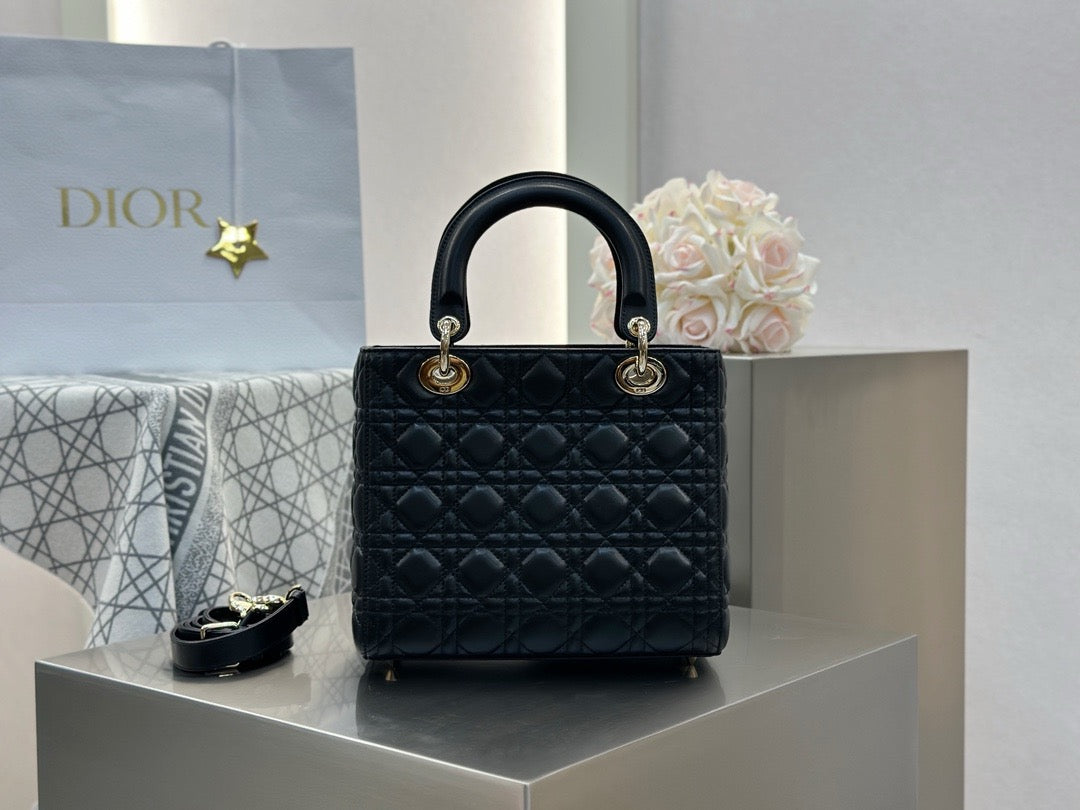 디올 레이디백 미디움