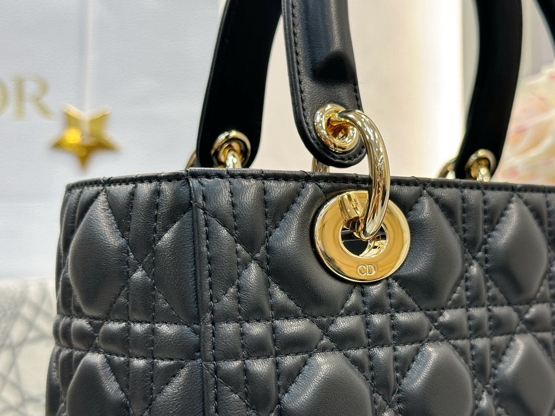 디올 레이디백 미디움