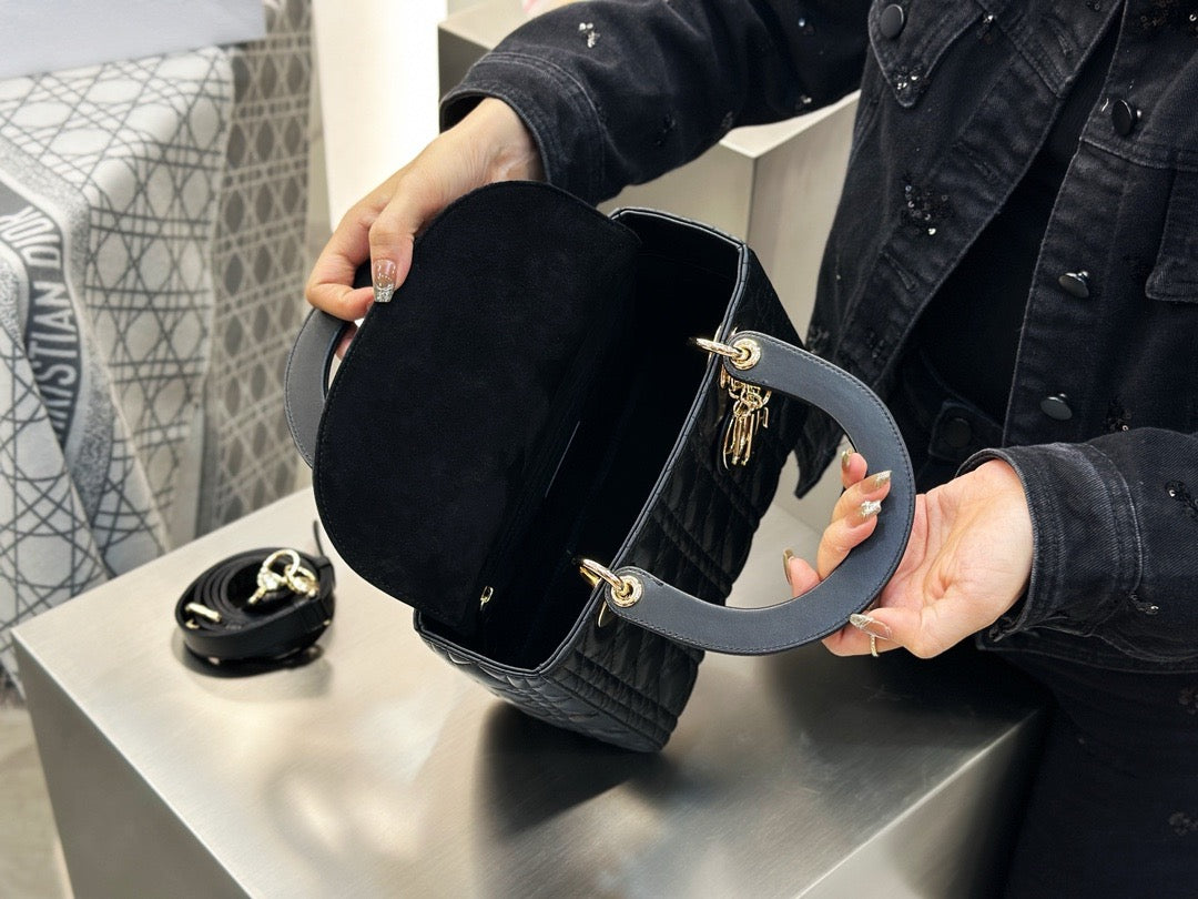 디올 레이디백 미디움