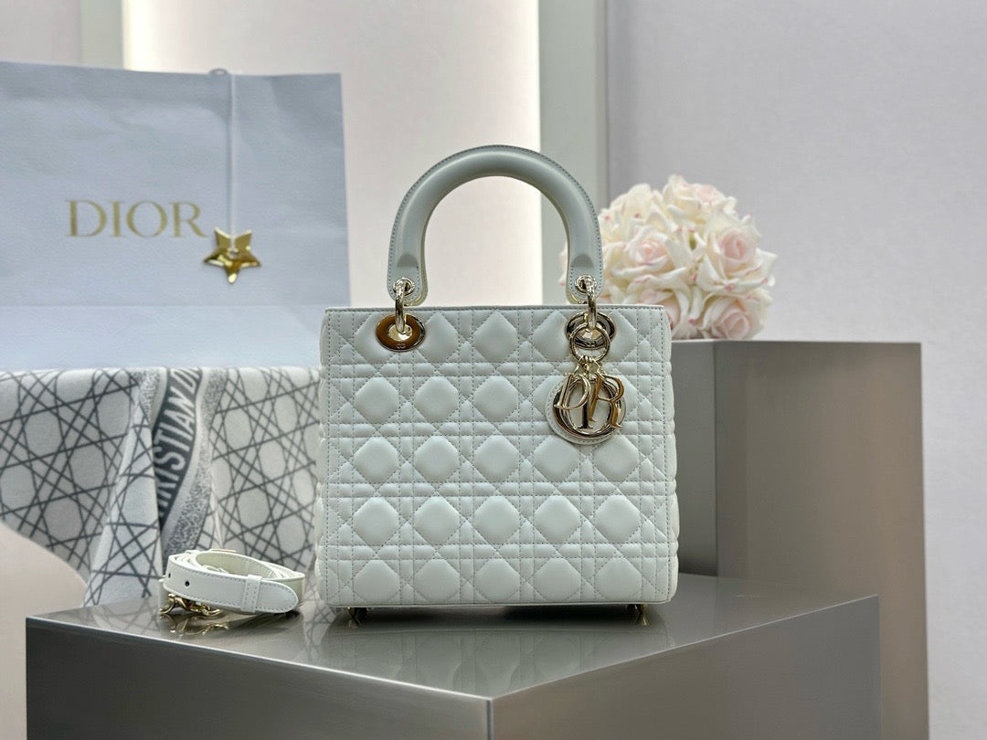 디올 레이디백 미디움