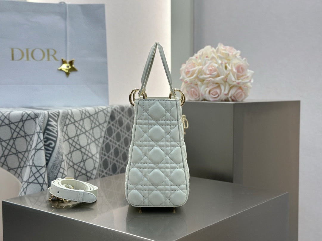 디올 레이디백 미디움