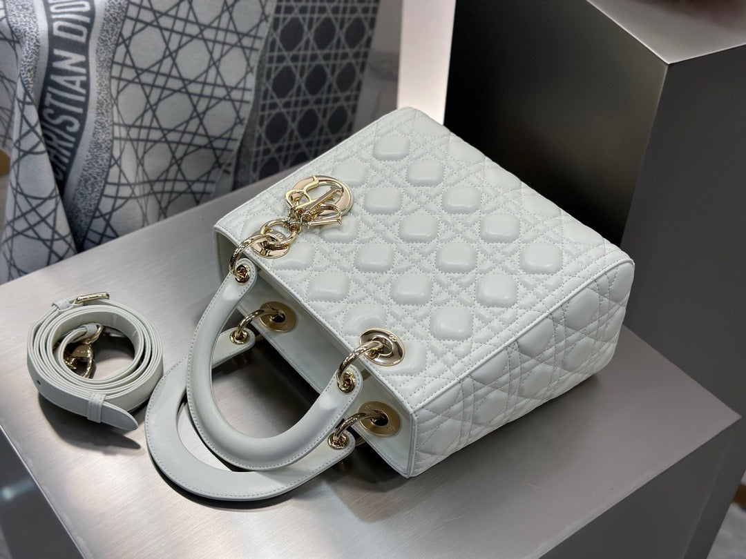 디올 레이디백 미디움