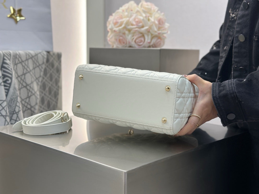 디올 레이디백 미디움