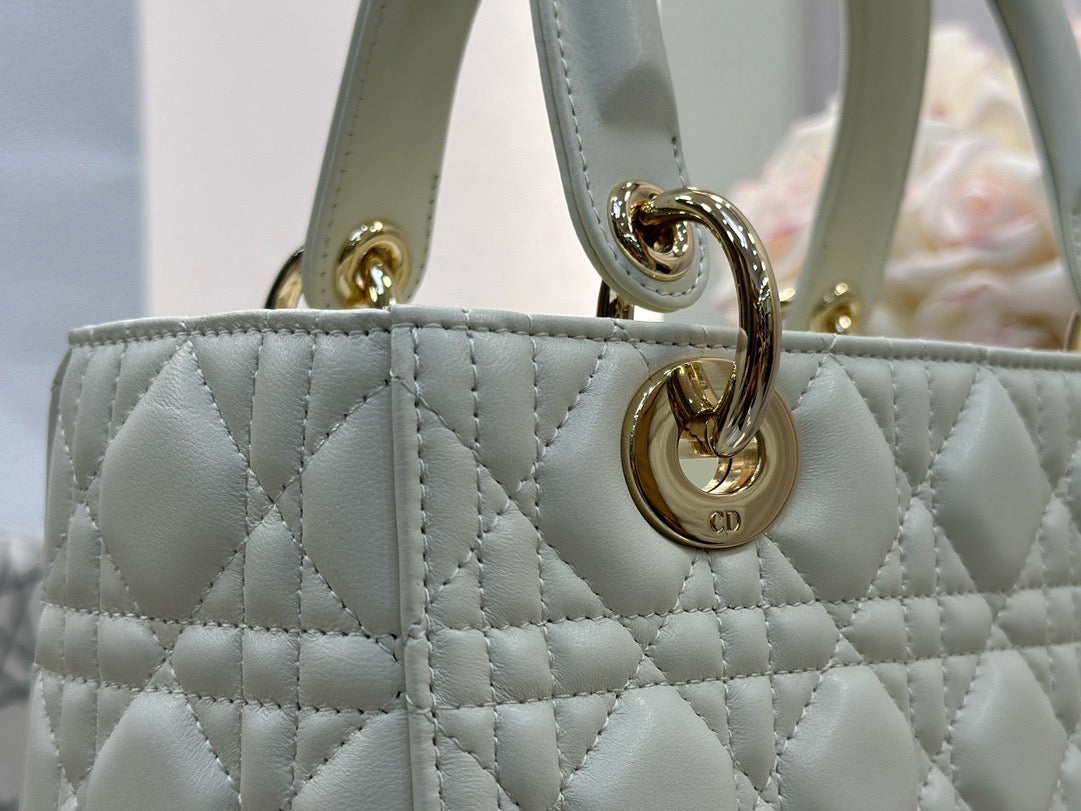 디올 레이디백 미디움