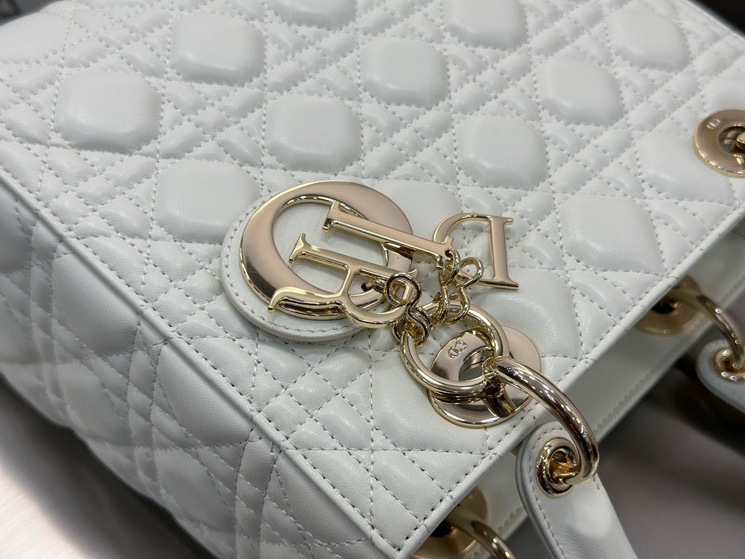 디올 레이디백 미디움