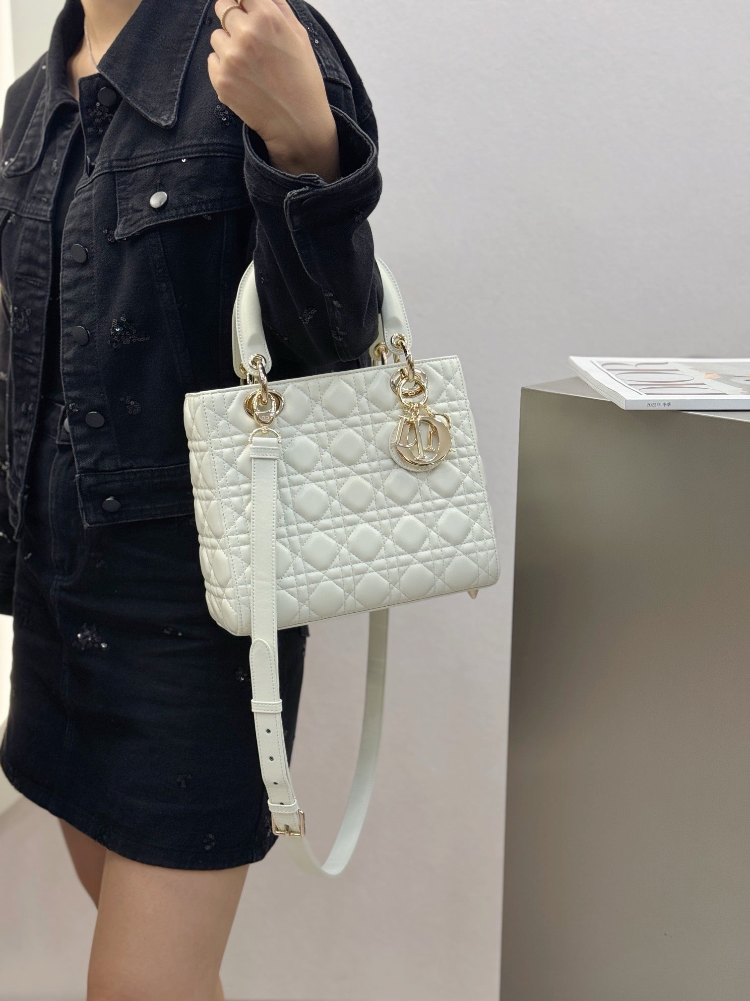 디올 레이디백 미디움