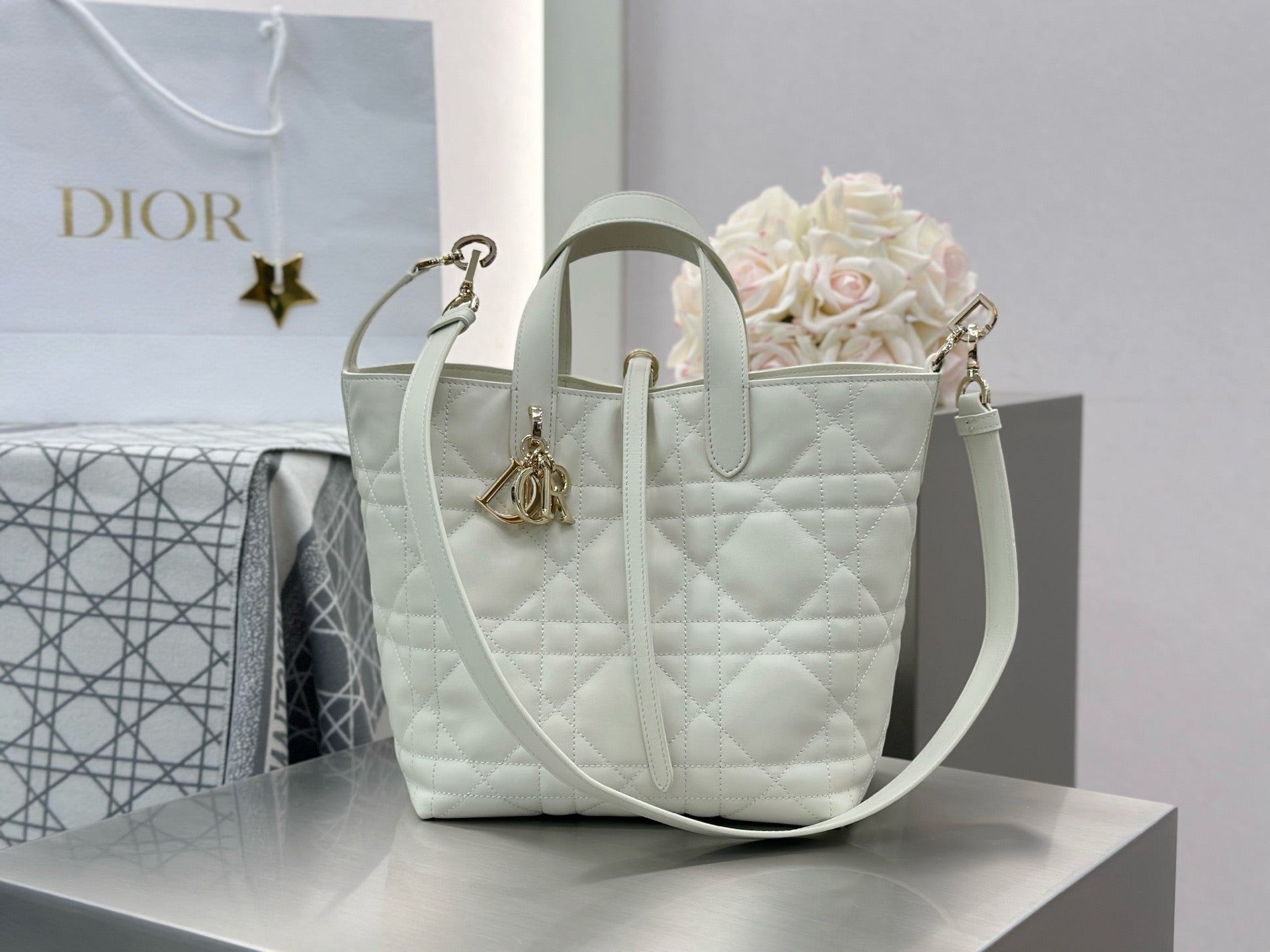 디올 버티컬 뚜주흐백 스몰,미디움