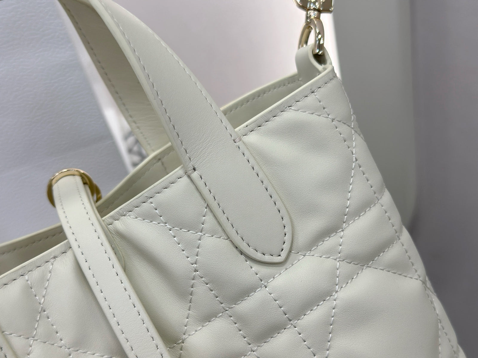 디올 버티컬 뚜주흐백 스몰,미디움