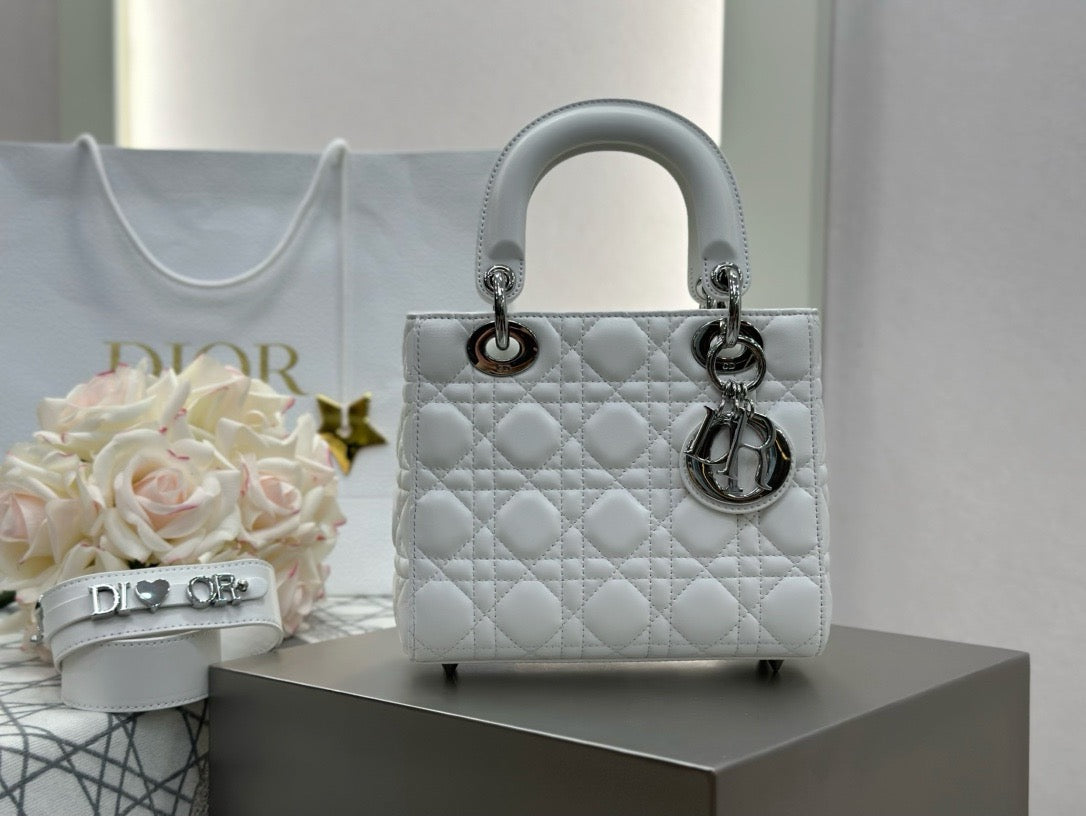 디올 레이디백 스몰