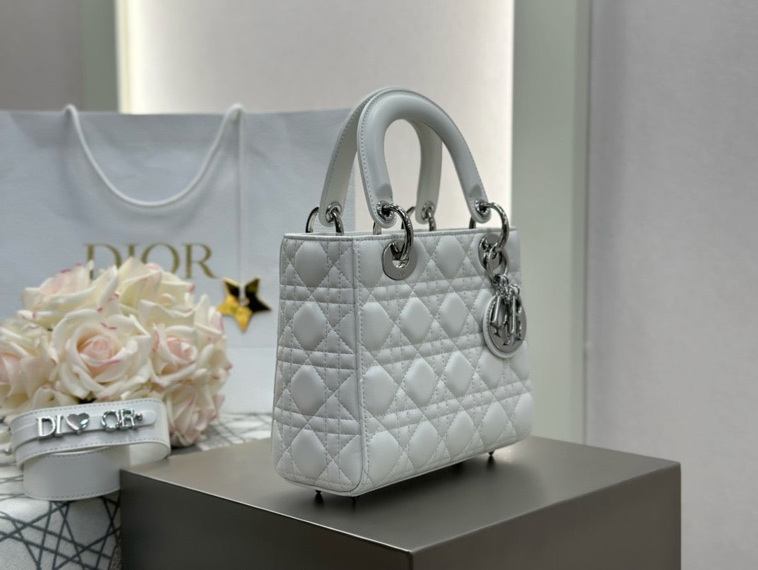 디올 레이디백 스몰
