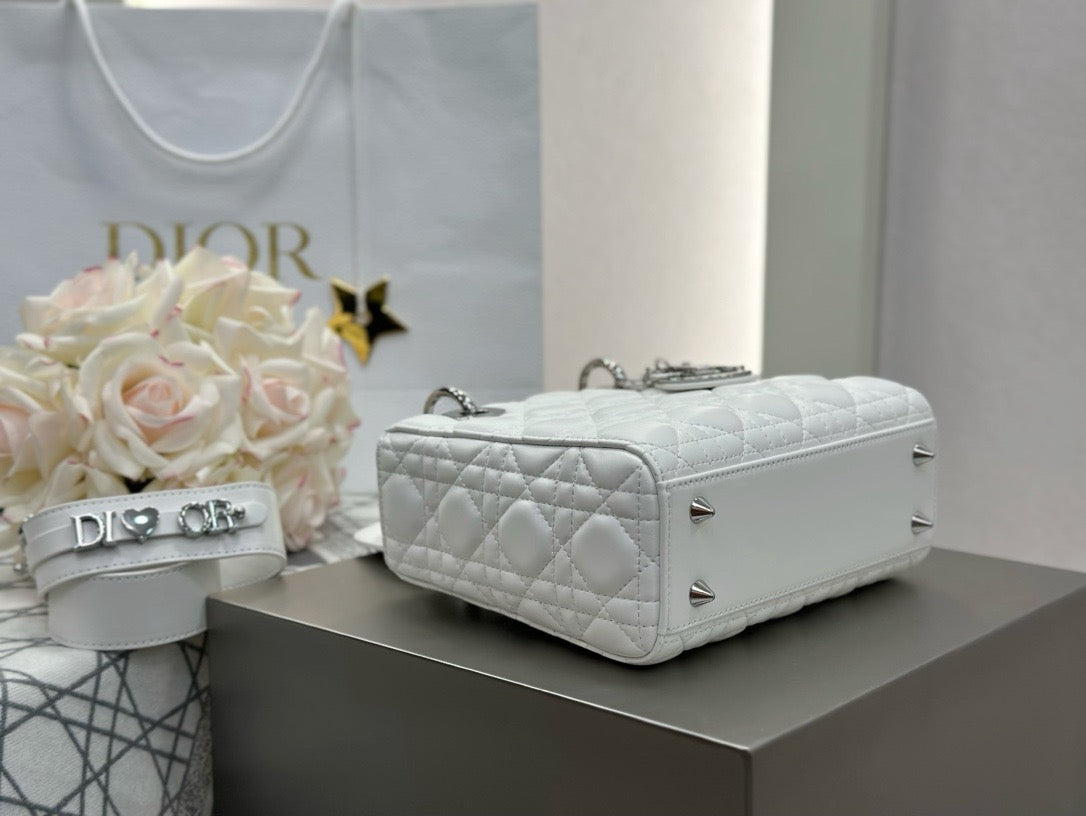 디올 레이디백 스몰