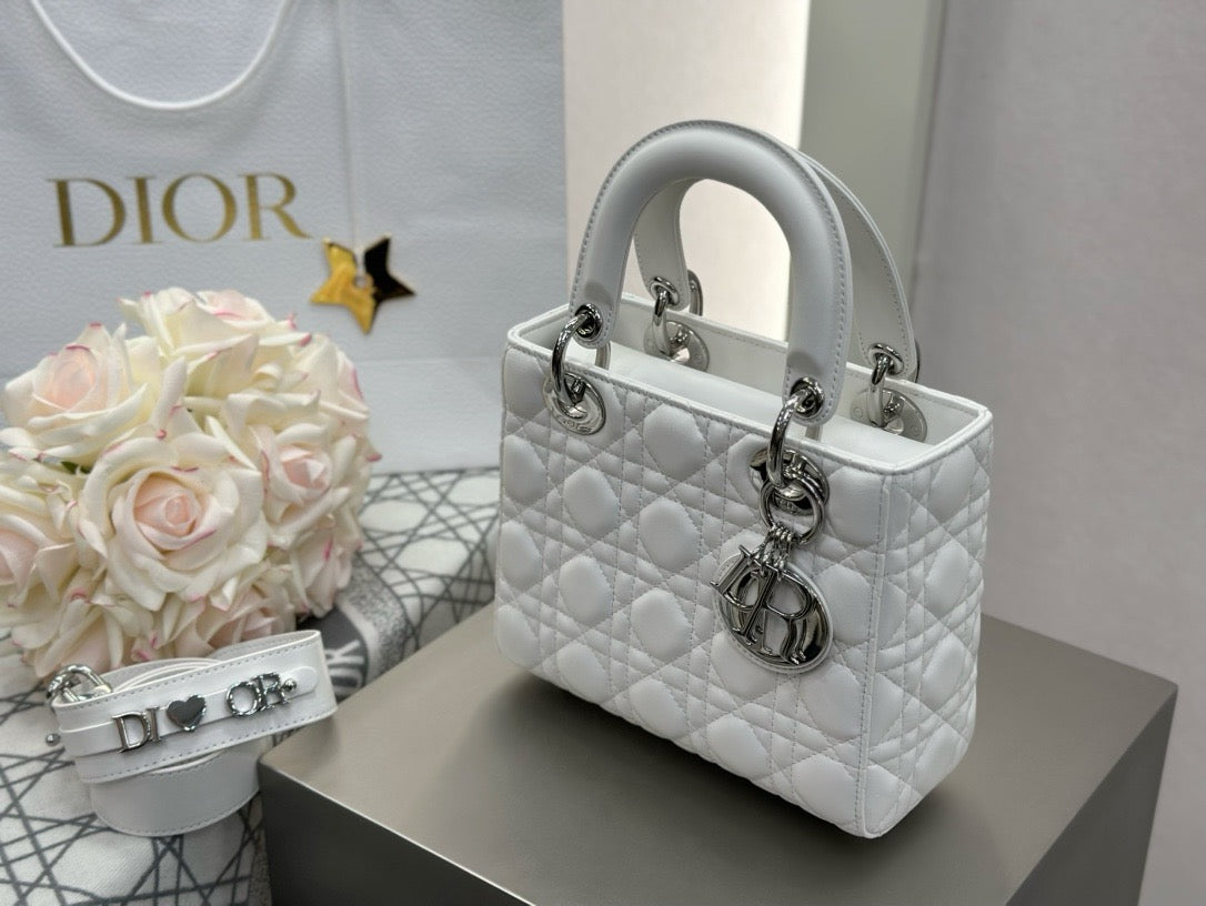 디올 레이디백 스몰