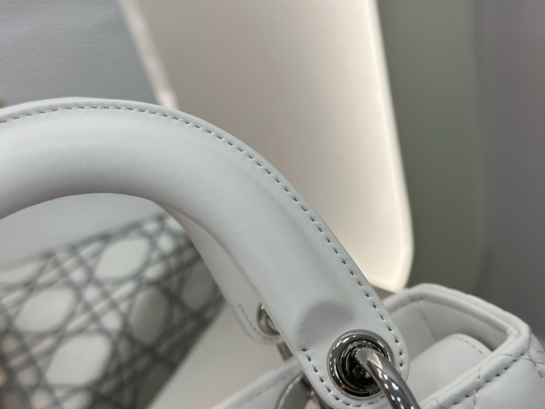 디올 레이디백 스몰