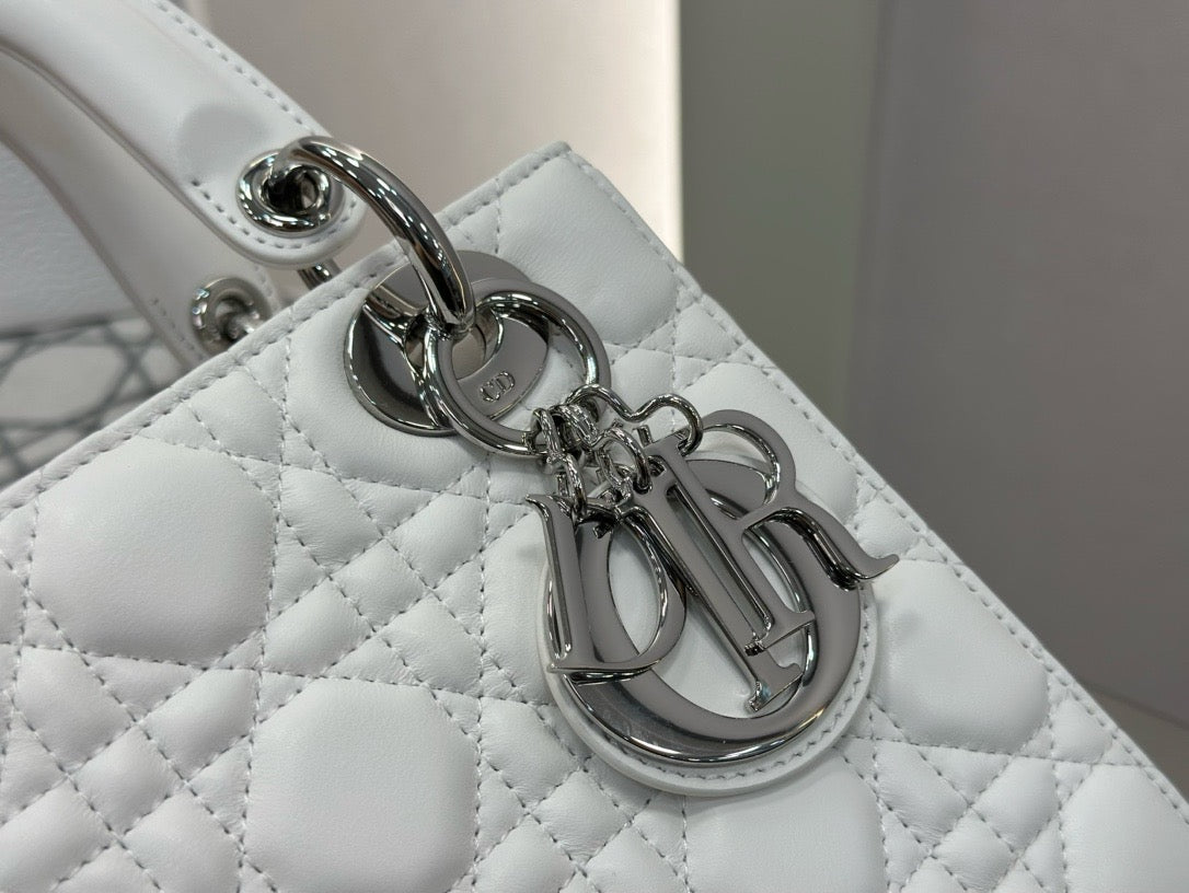 디올 레이디백 스몰