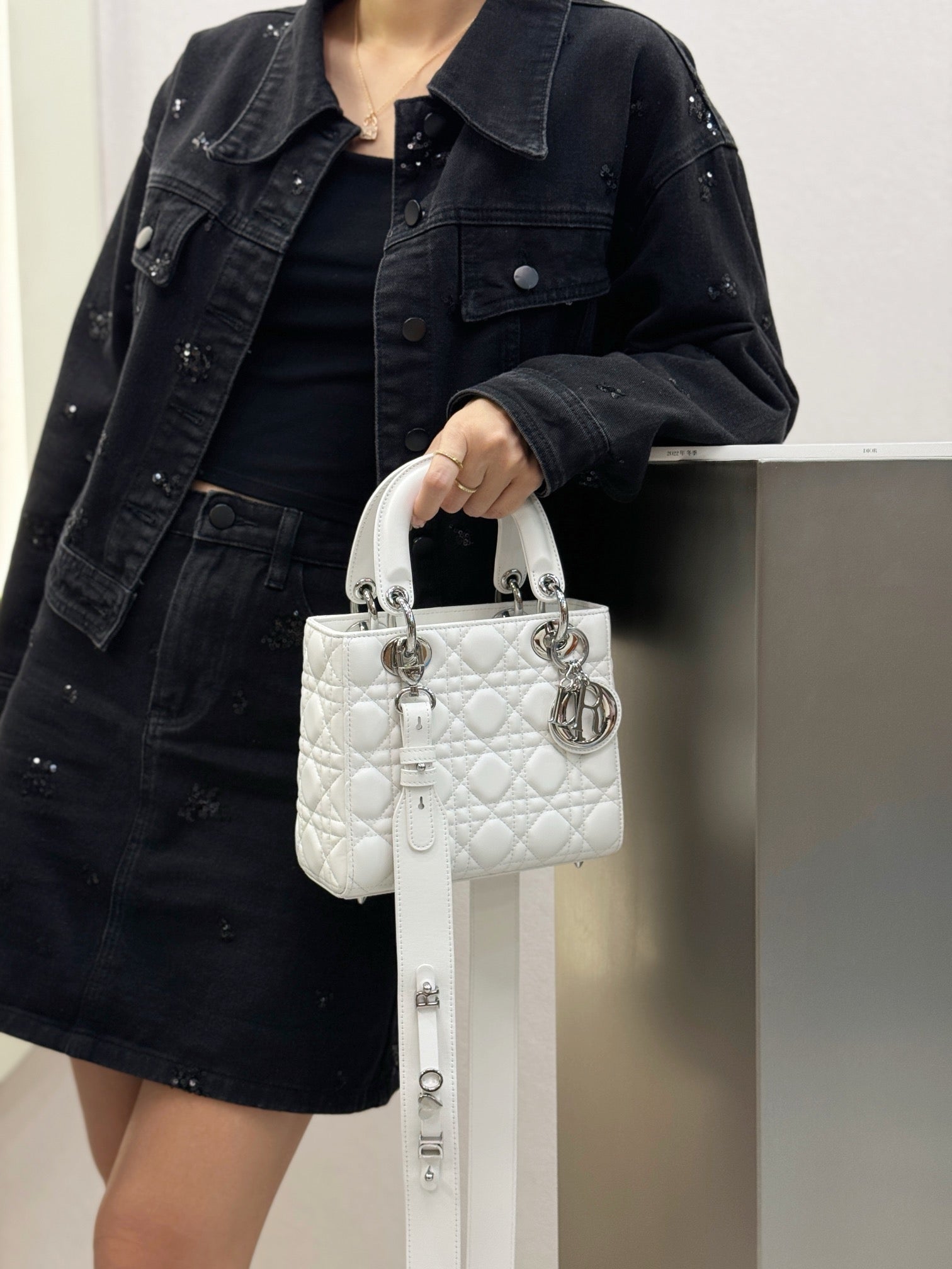 디올 레이디백 스몰