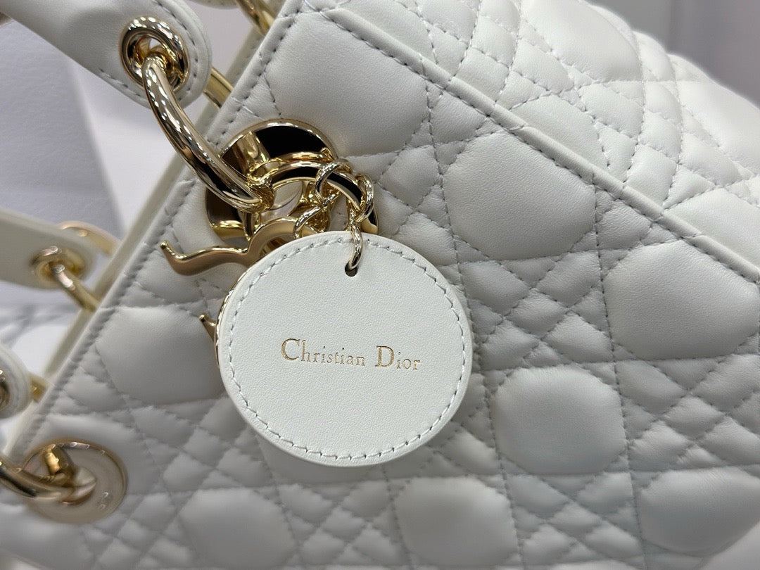 디올 레이디백 스몰