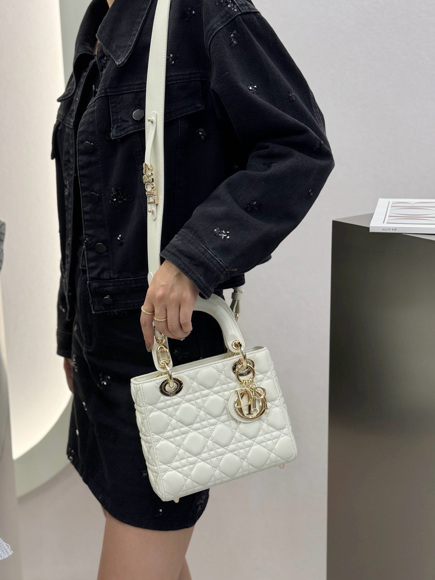 디올 레이디백 스몰