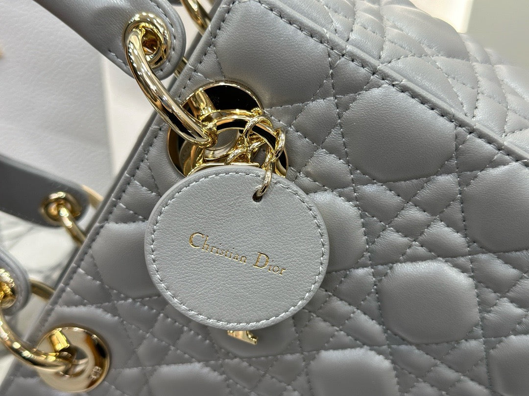 디올 레이디백 스몰