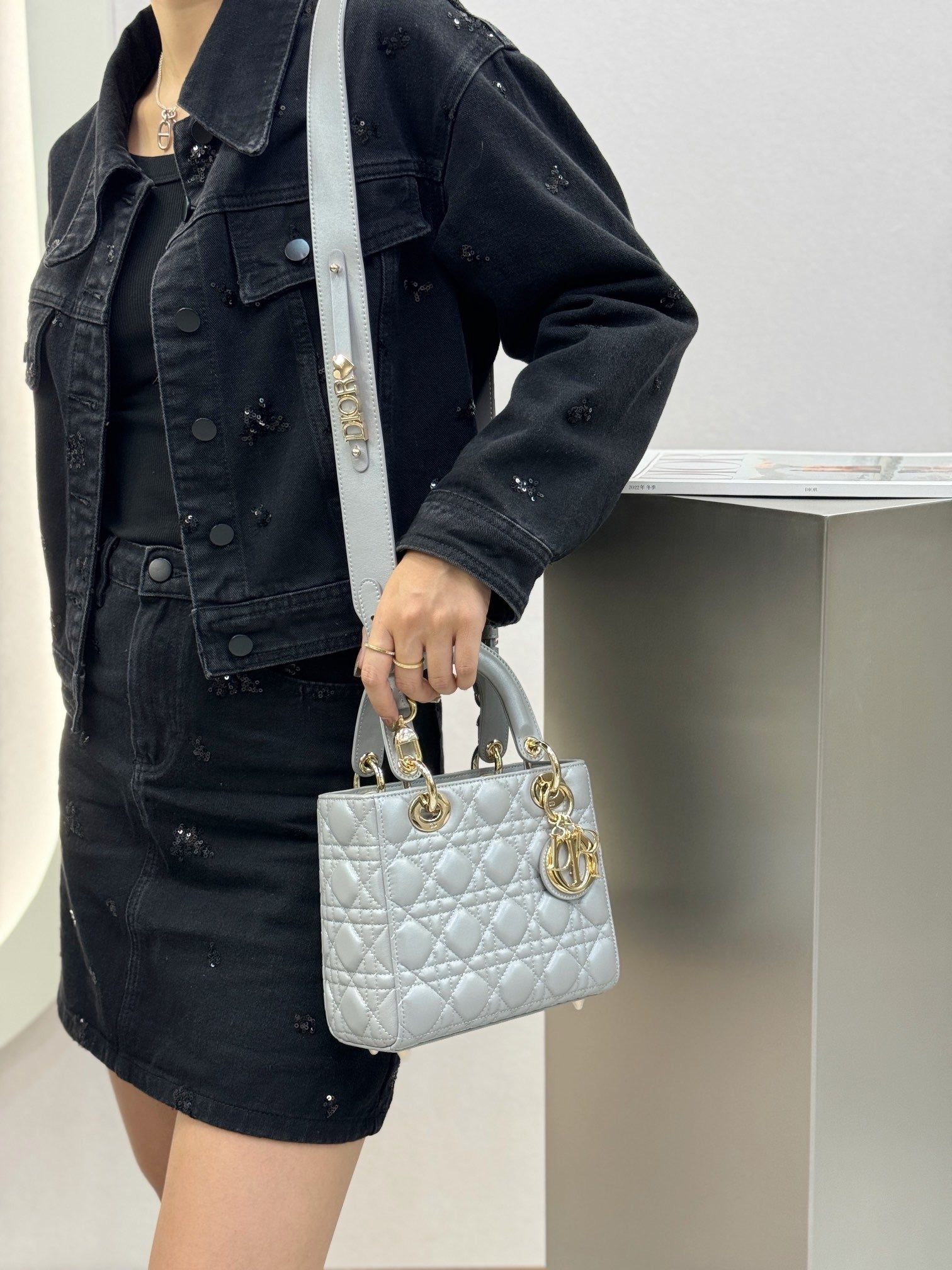 디올 레이디백 스몰