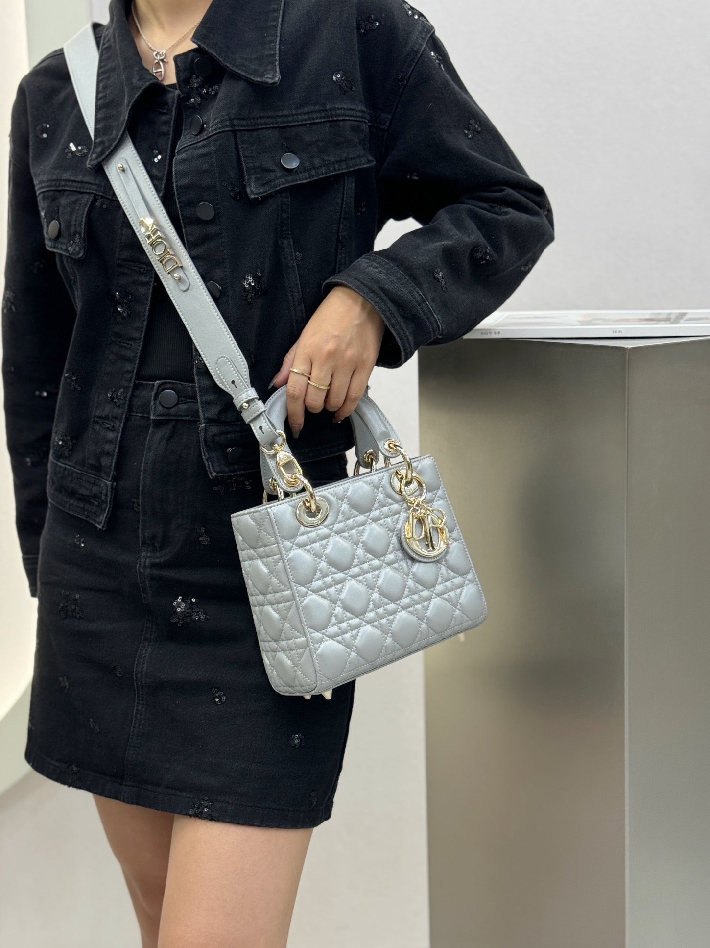 디올 레이디백 스몰