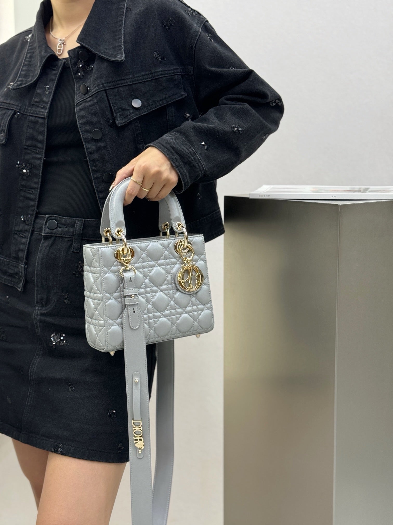 디올 레이디백 스몰