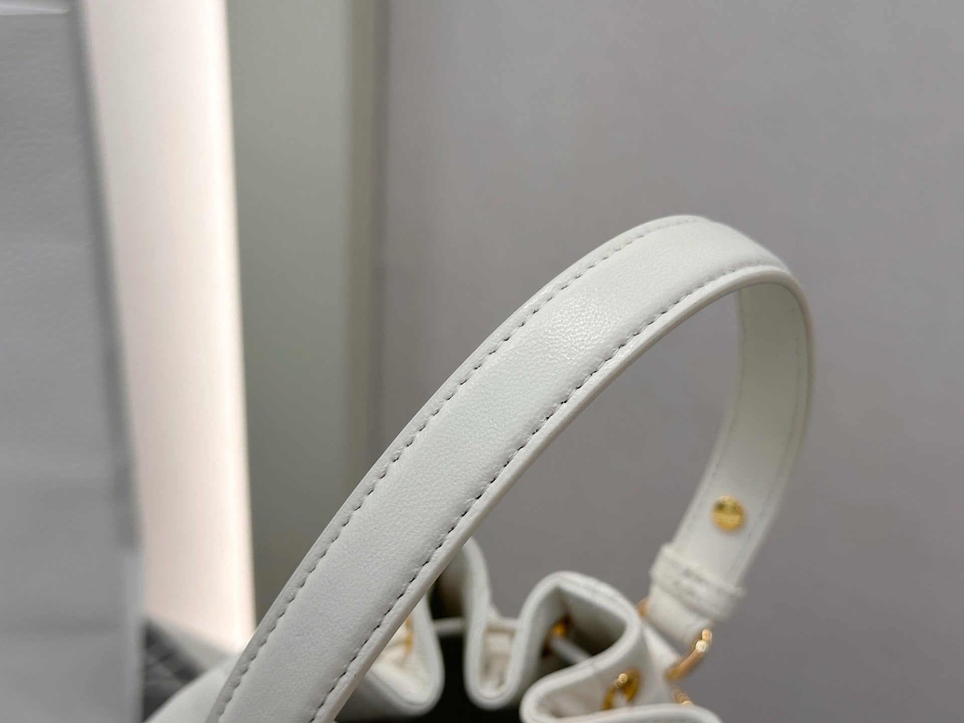 디올 카로 스몰 버킷백