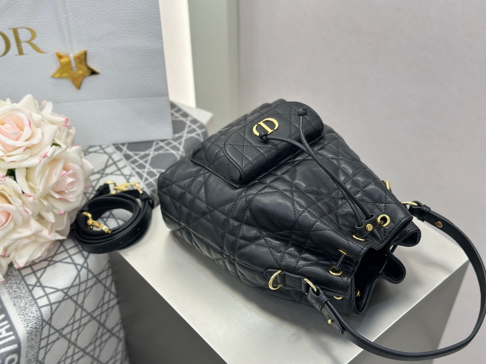 디올 카로 스몰 버킷백