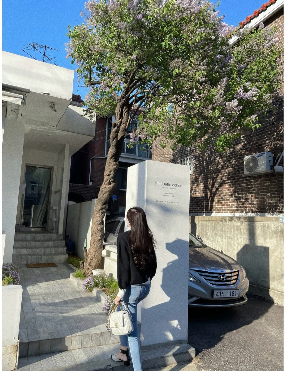 샤넬 19백 미디움