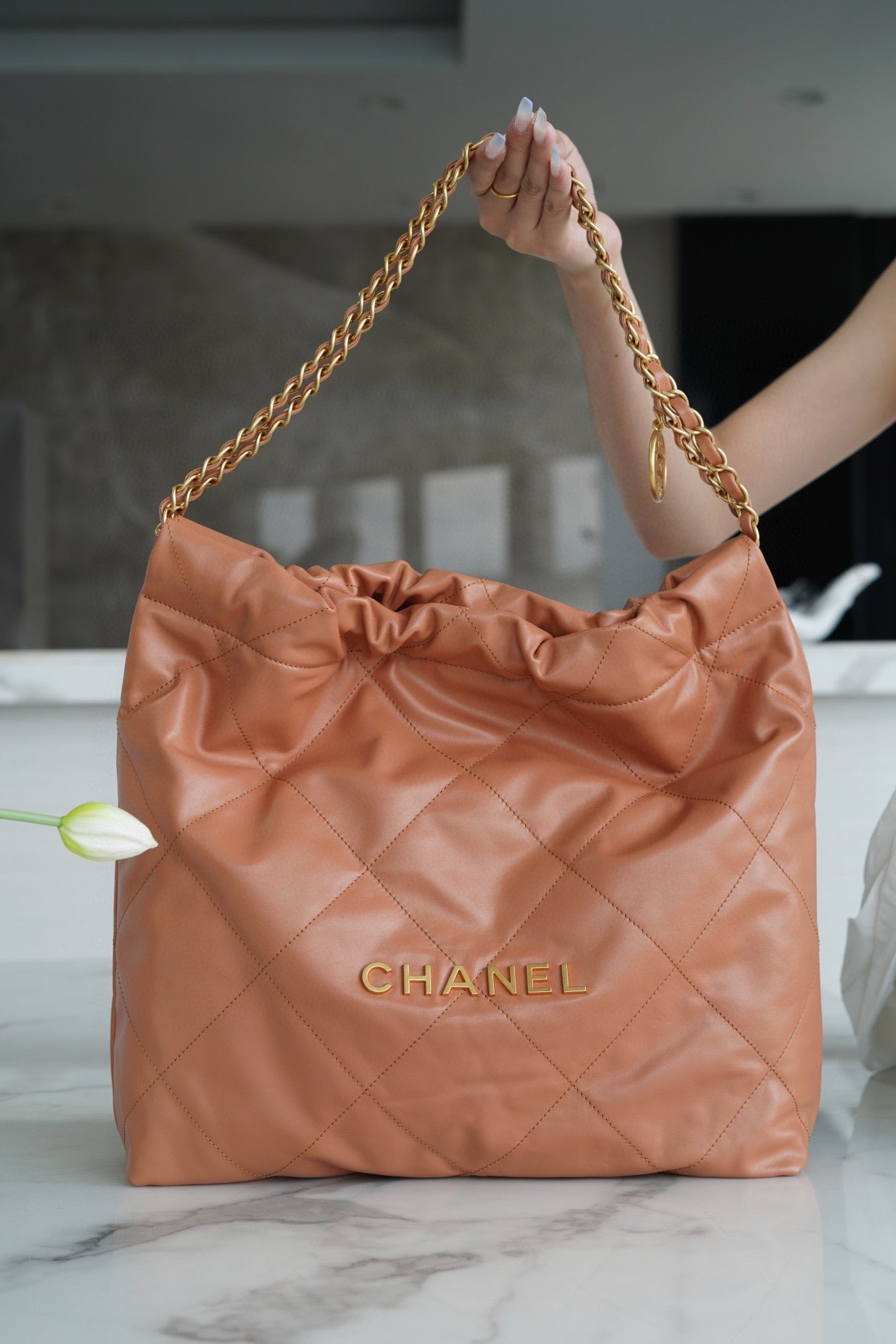 샤넬 22백 미디움 (유색)