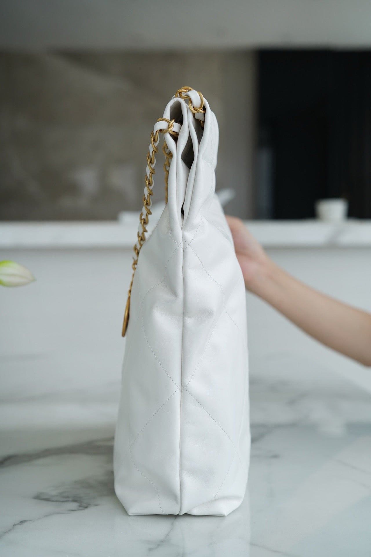 샤넬 22백 미디움 (유색)