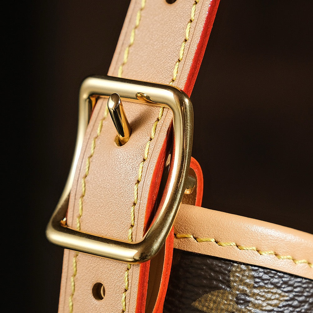 루이비통 캐리올 모노그램 MM