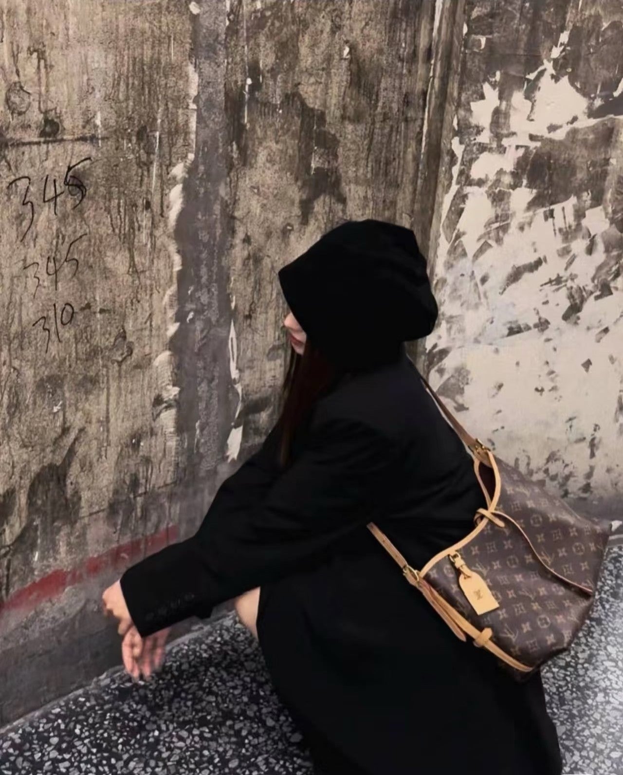 루이비통 캐리올 모노그램 PM,MM