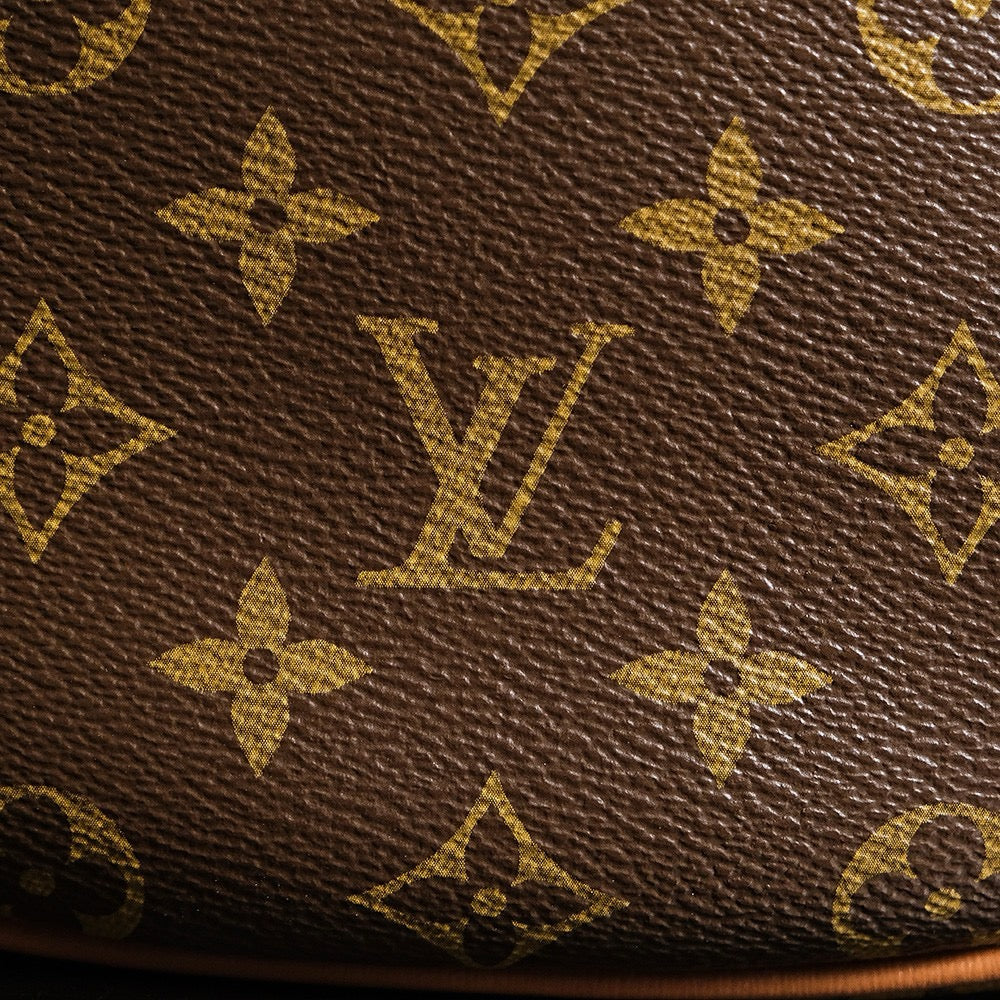 루이비통 모노그램 루프 호보백