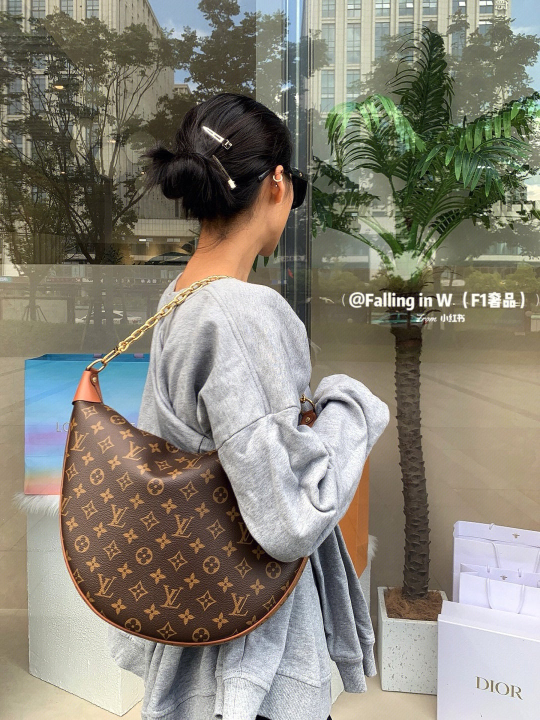 루이비통 모노그램 루프 호보백