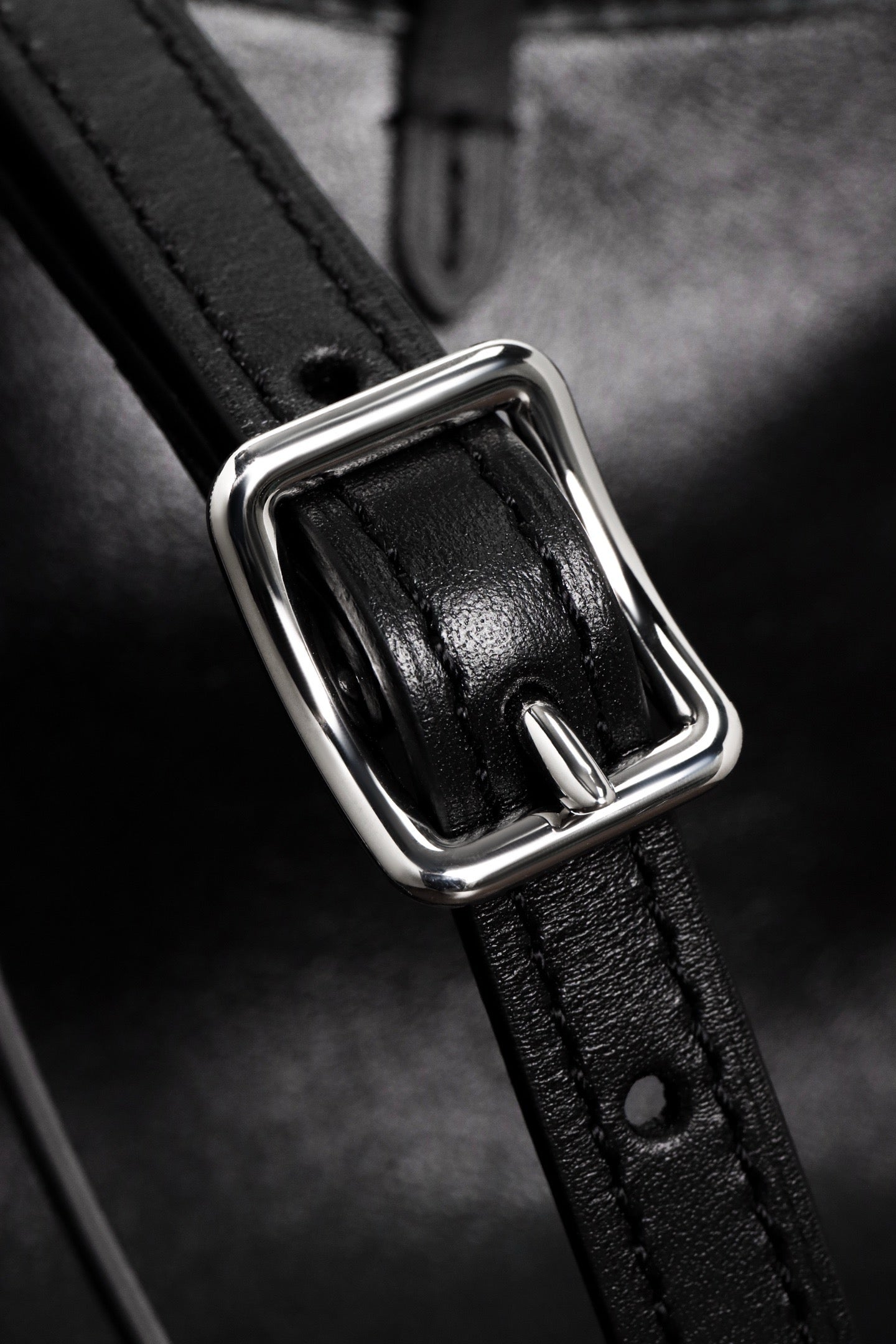 루이비통 캐리올 바이브 BB