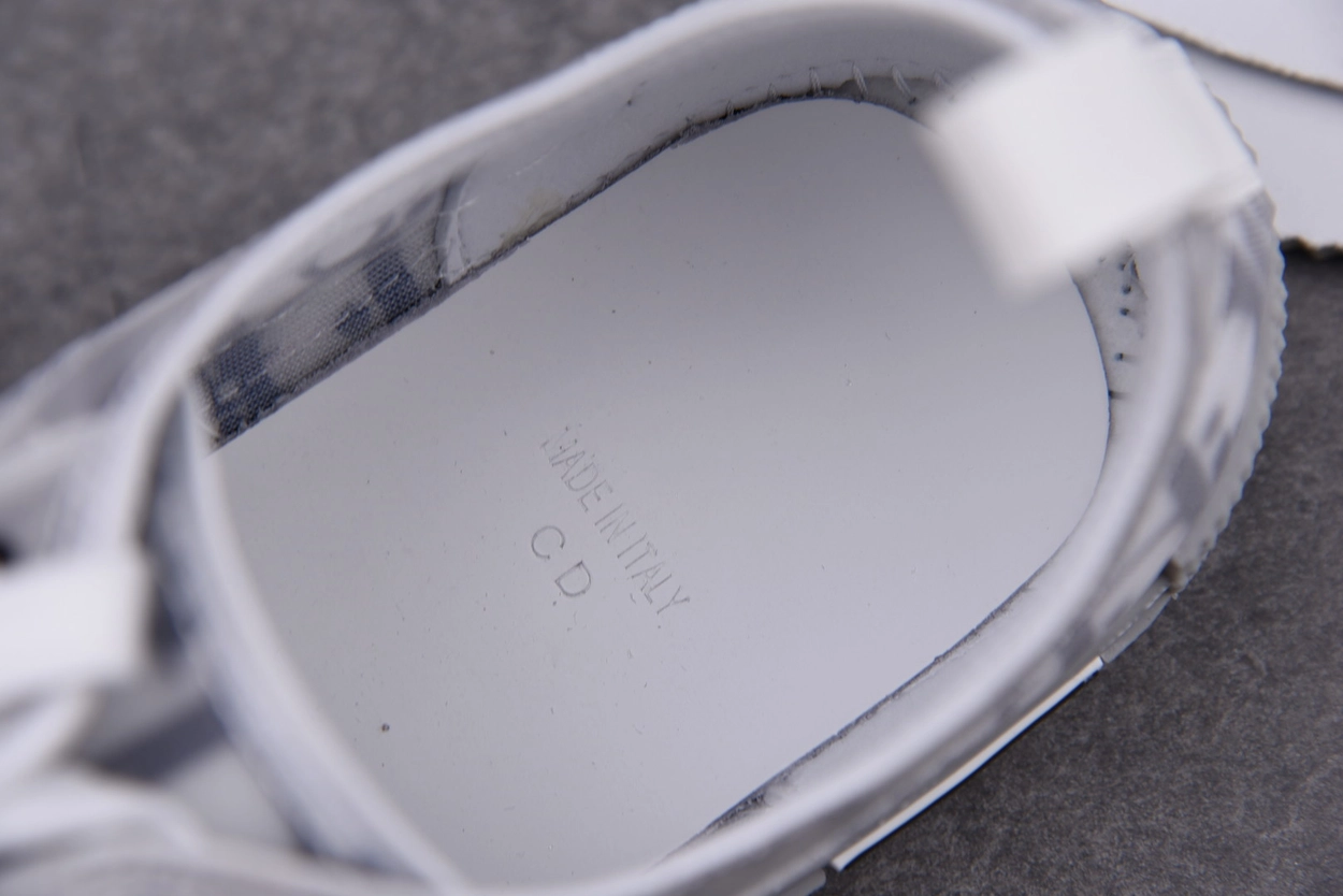 디올 B23 로우탑 스니커즈