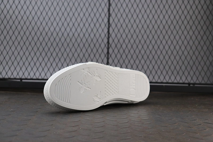 디올 x 숀 B23 하이 오블리크 캔버스 꿀벌 자수 패치