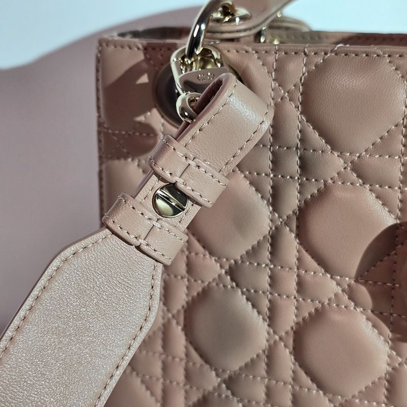 디올 레이디백 스몰