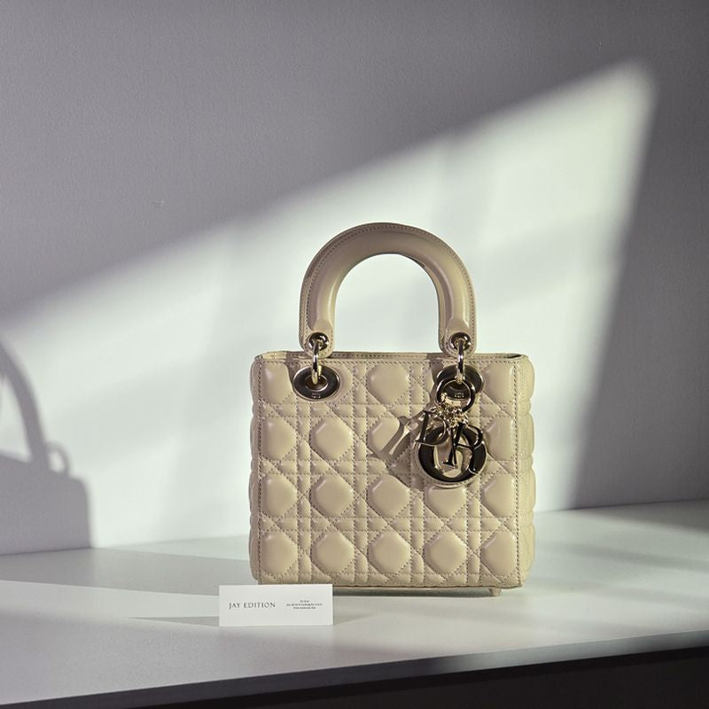 디올 레이디백 스몰