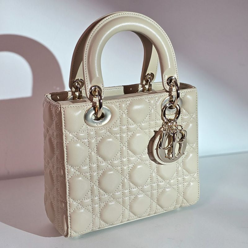 디올 레이디백 스몰