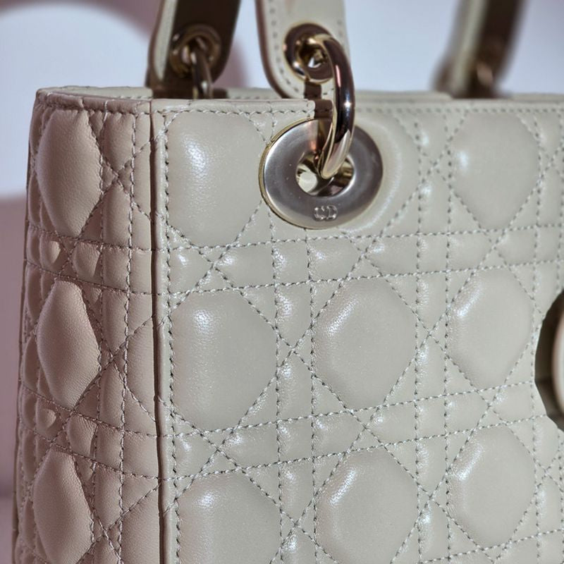 디올 레이디백 스몰