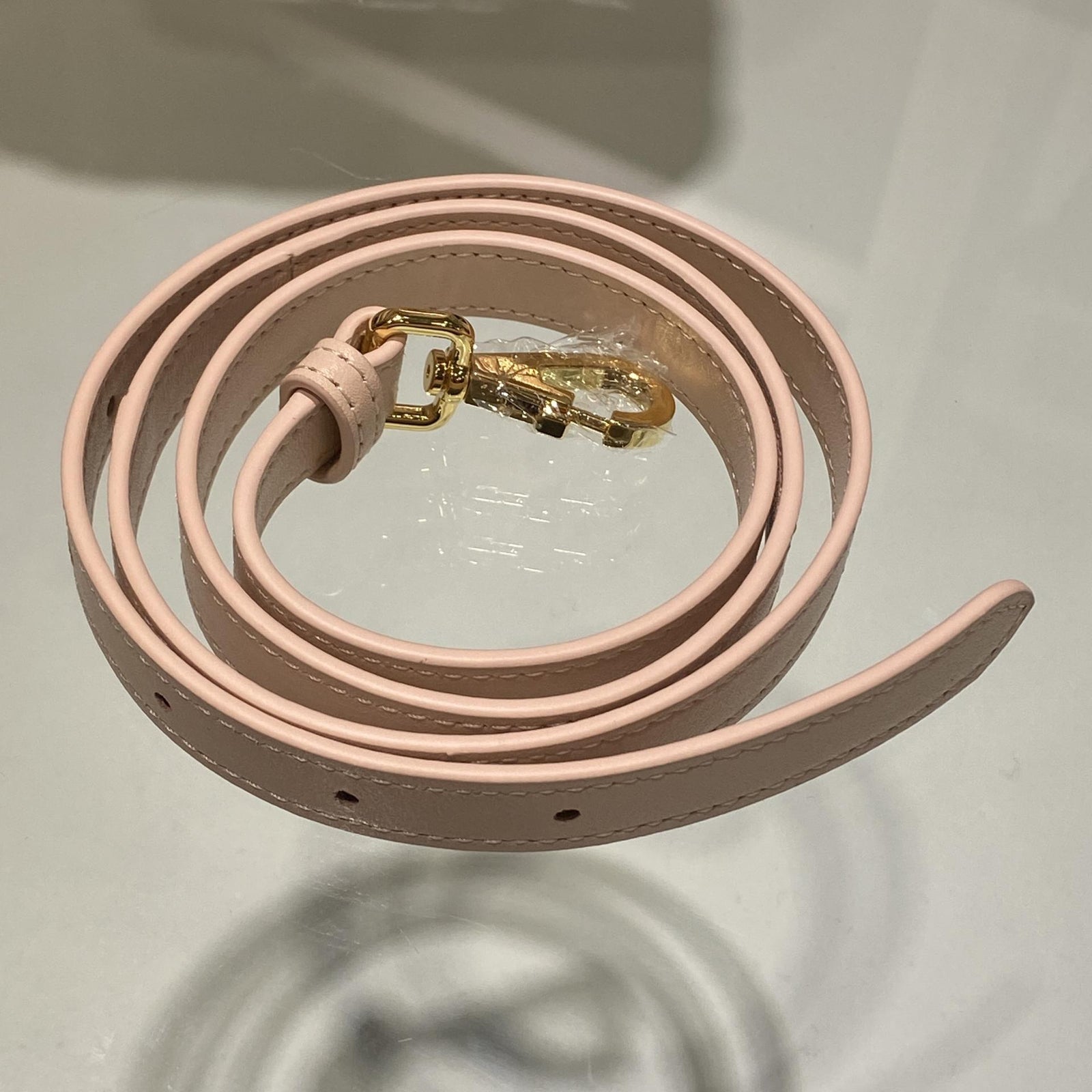 디올 카로 나노 버킷백