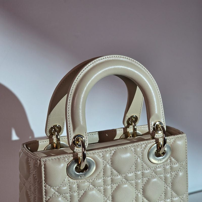 디올 레이디백 스몰