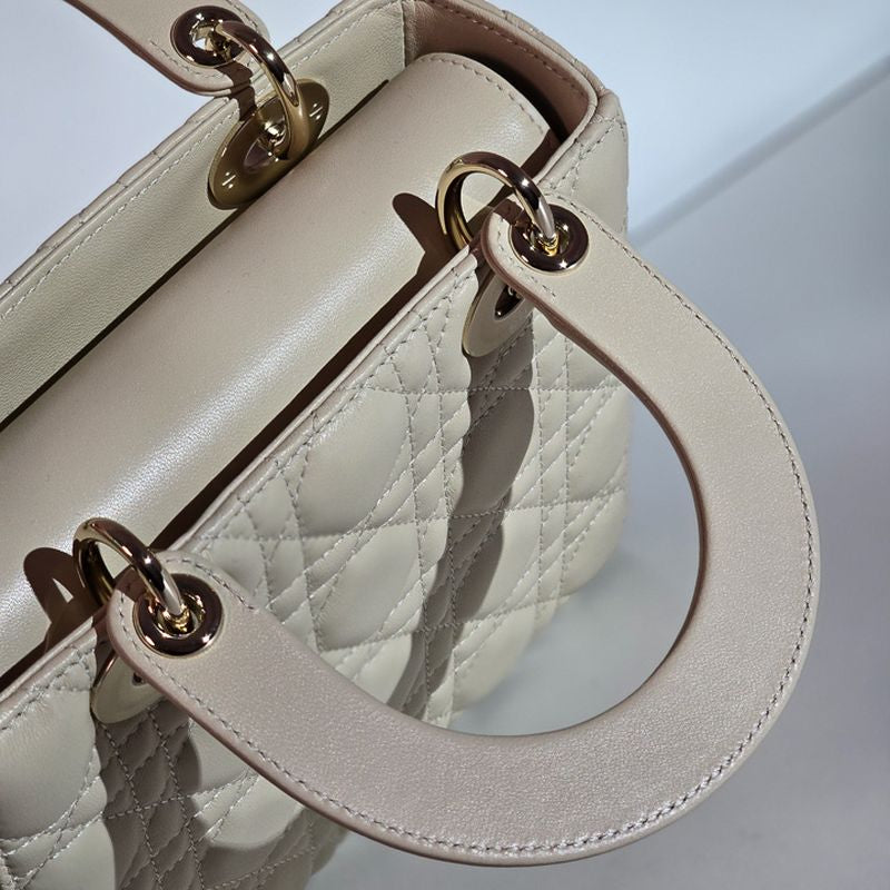 디올 레이디백 스몰