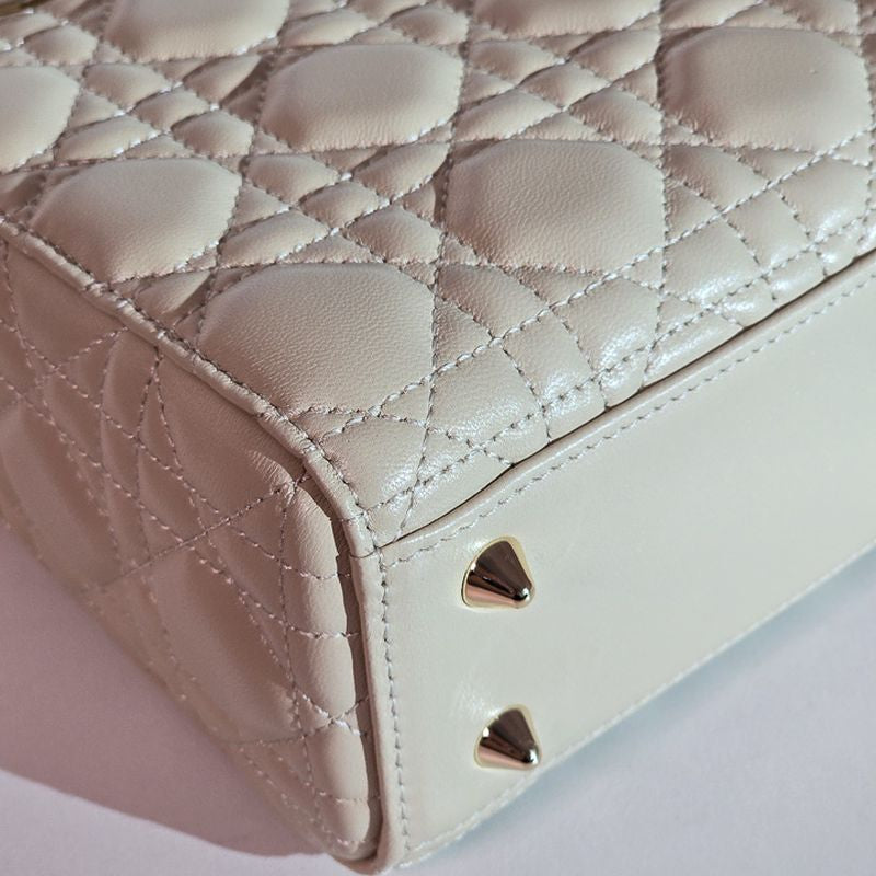 디올 레이디백 스몰