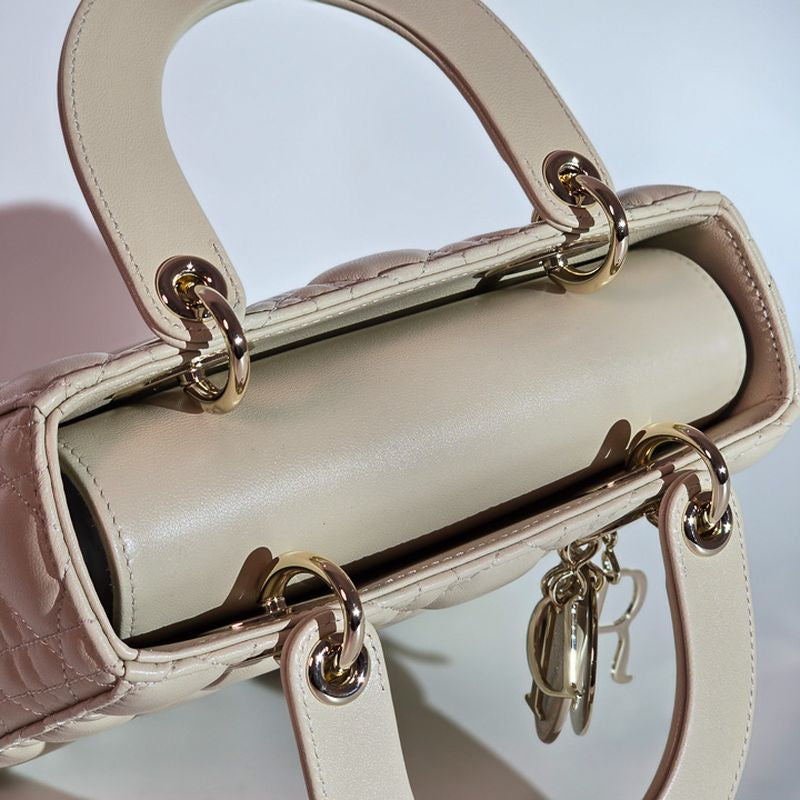 디올 레이디백 스몰