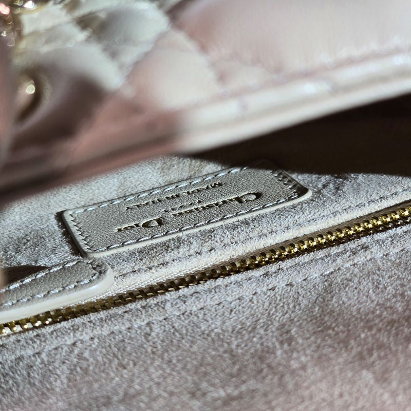 디올 레이디백 스몰