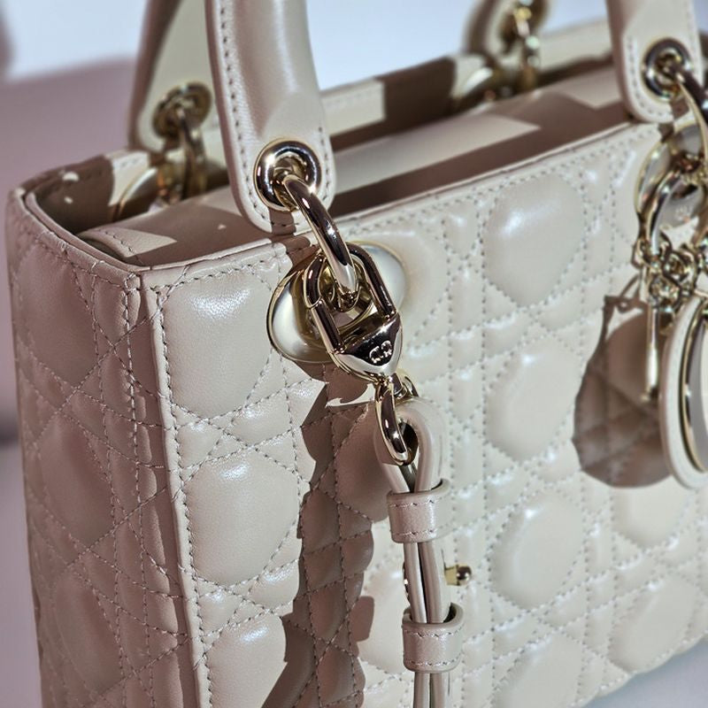 디올 레이디백 스몰